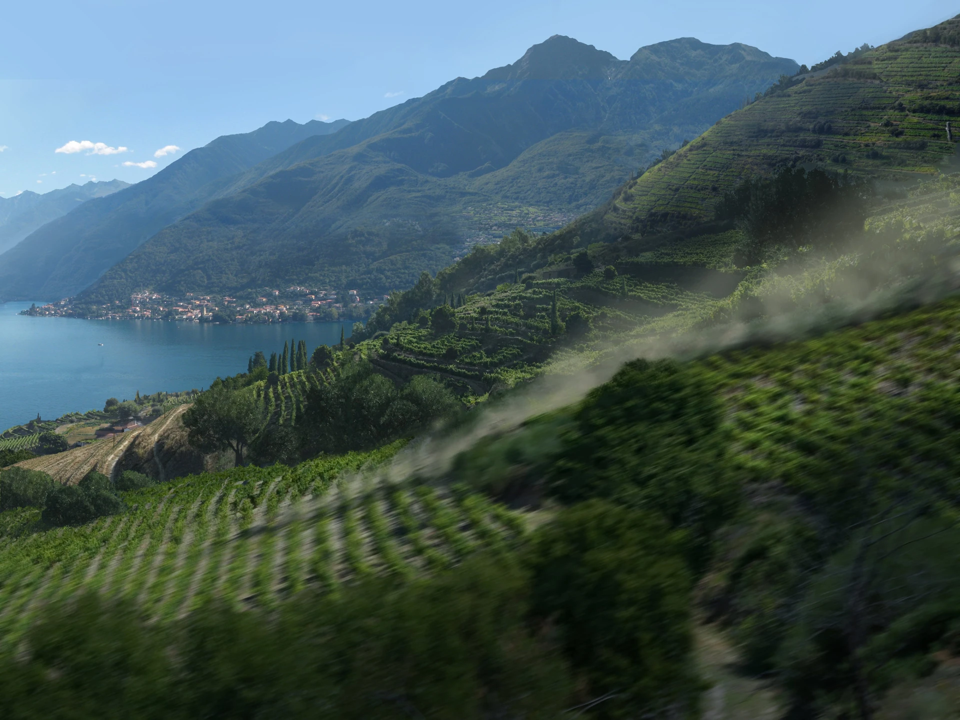 Mathieu Raynault's work tree mountain and lake Raynault vfx