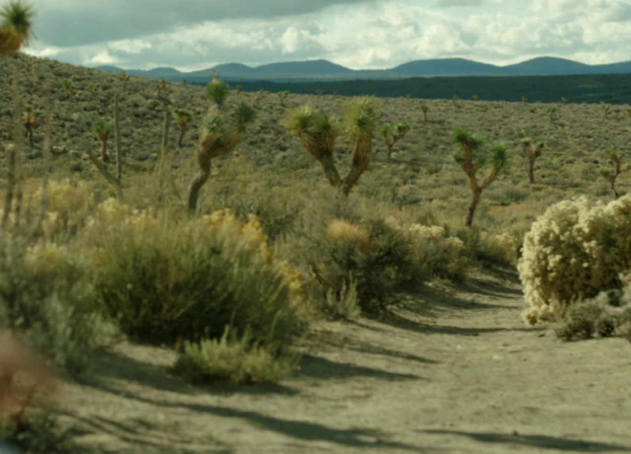  Shot scene Wild Path in the desert Raynault vfx 